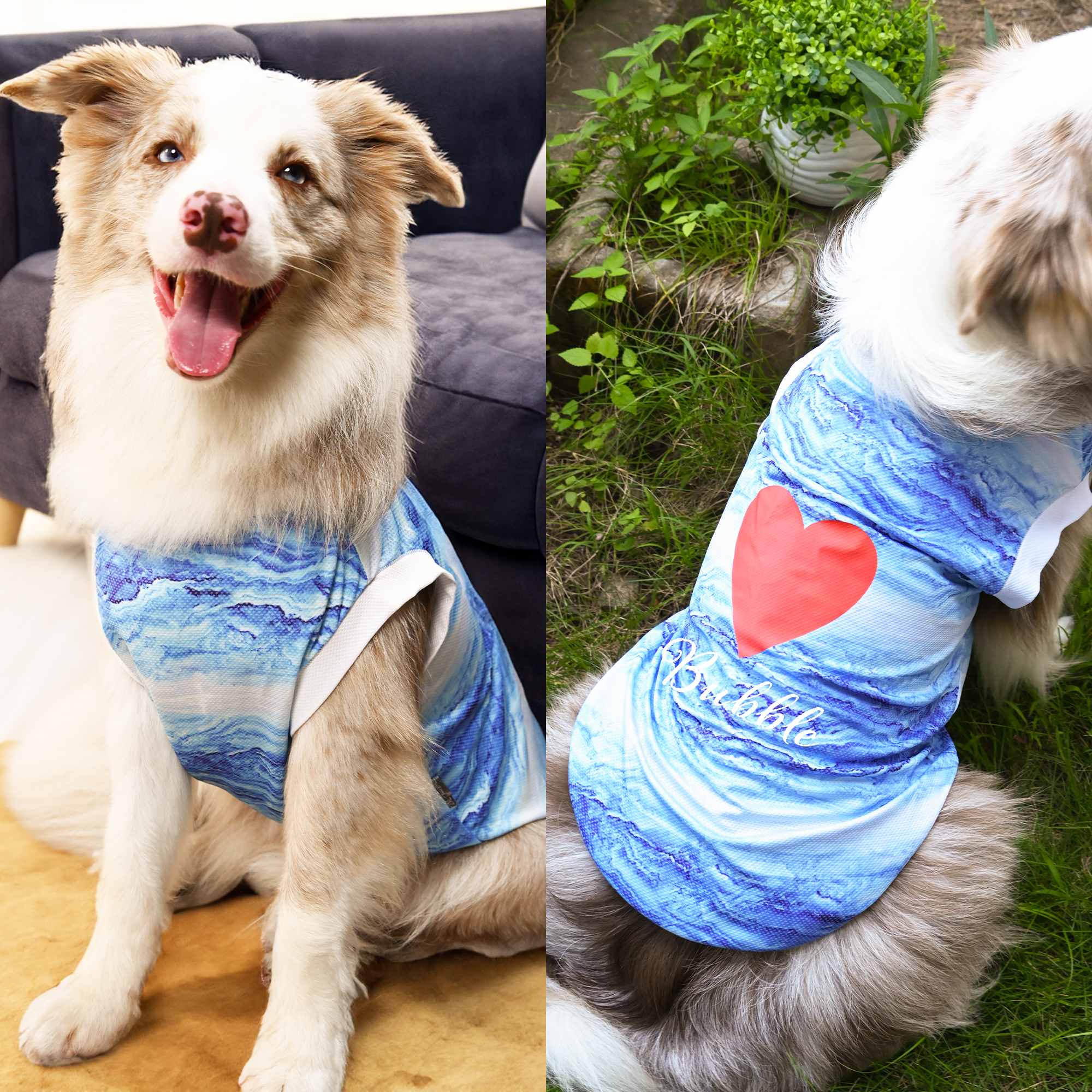 Combinaison de refroidissement pour chien et chat avec nom Cadeau d'anniversaire pour les propriétaires d'animaux de compagnie