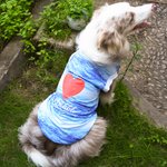 Personalized Red Heart Bone Paw Print Dog Cat Pet Cooling Suit with Name Outdoor Activities Pet Party Birthday Gift for Pet Owners