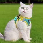 Gepersonaliseerde bot ontwerp bewegwijzering Multicolor huisdier borst harnas met Airtag houder en naam Verjaardag Outdoor activiteiten Gift voor huisdier liefhebbers eigenaren