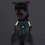 Gepersonaliseerde bot ontwerp bewegwijzering Multicolor huisdier borst harnas met Airtag houder en naam Verjaardag Outdoor activiteiten Gift voor huisdier liefhebbers eigenaren