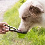 Personalizzato cane osso pesce zampa pet cibo pieghevole cucchiaio attività all'aperto Pet Party regalo di compleanno per l'amante degli animali domestici