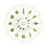 Personligt strandfödelse snäckskal naturpärla och sten pärlhalsband med initialer sommar semester födelsedag årsdag gåva för kvinnor