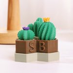 Gepersonaliseerd 3D geprint Mini Cactus Clicky Fidget Speelgoed met initiaal Stress Hulpmiddel Bureau Metgezel Verjaardagscadeau voor plantenliefhebbers ADHD Volwassenen