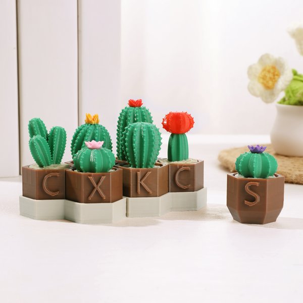 Mini Cactus Clicky Fidget Toys con iniziali stampato in 3D, regalo di compleanno per gli amanti delle piante, ADHD e adulti.