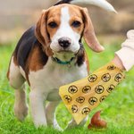 Personalized Paw Print Name Portable Dog Poop Bag Dispenser with Biodegradable Bags Outdoor Activities Christmas Gift for Pet Owners Lovers