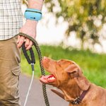 Personalized Paw Print Name Portable Dog Poop Bag Dispenser with Biodegradable Bags Outdoor Activities Christmas Gift for Pet Owners Lovers