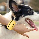 Personalized Paw Print Name Portable Dog Poop Bag Dispenser with Biodegradable Bags Outdoor Activities Christmas Gift for Pet Owners Lovers