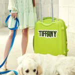 Personalized Wicked-Inspired Name Label Sticker Birthday Christmas Gift for Kids Girls Musical Film Fans