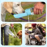 Botella de agua plegable personalizada con nombre de mascota de dibujos animados para uso diario en actividades al aire libre Regalo de cumpleaños para dueños de mascotas