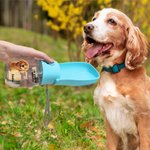 Botella de agua plegable personalizada con nombre de mascota de dibujos animados para uso diario en actividades al aire libre Regalo de cumpleaños para dueños de mascotas