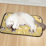 Tapis d'éveil personnalisé pour chien et chat avec nom Activités d'extérieur Repos d'intérieur Cadeau d'anniversaire pour les propriétaires d'animaux de compagnie.