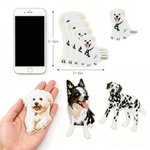 Personalized Embroidered Dog Cat Pet Photo Iron-On Patch Label Pet Party Birthday Gift for Pet Lover Owner Sewing Enthusiasts