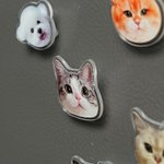 Personligt akrylfoto av husdjursansikte Magnetiskt clips Födelsedag Jul Jubileum Present till husdjursägare