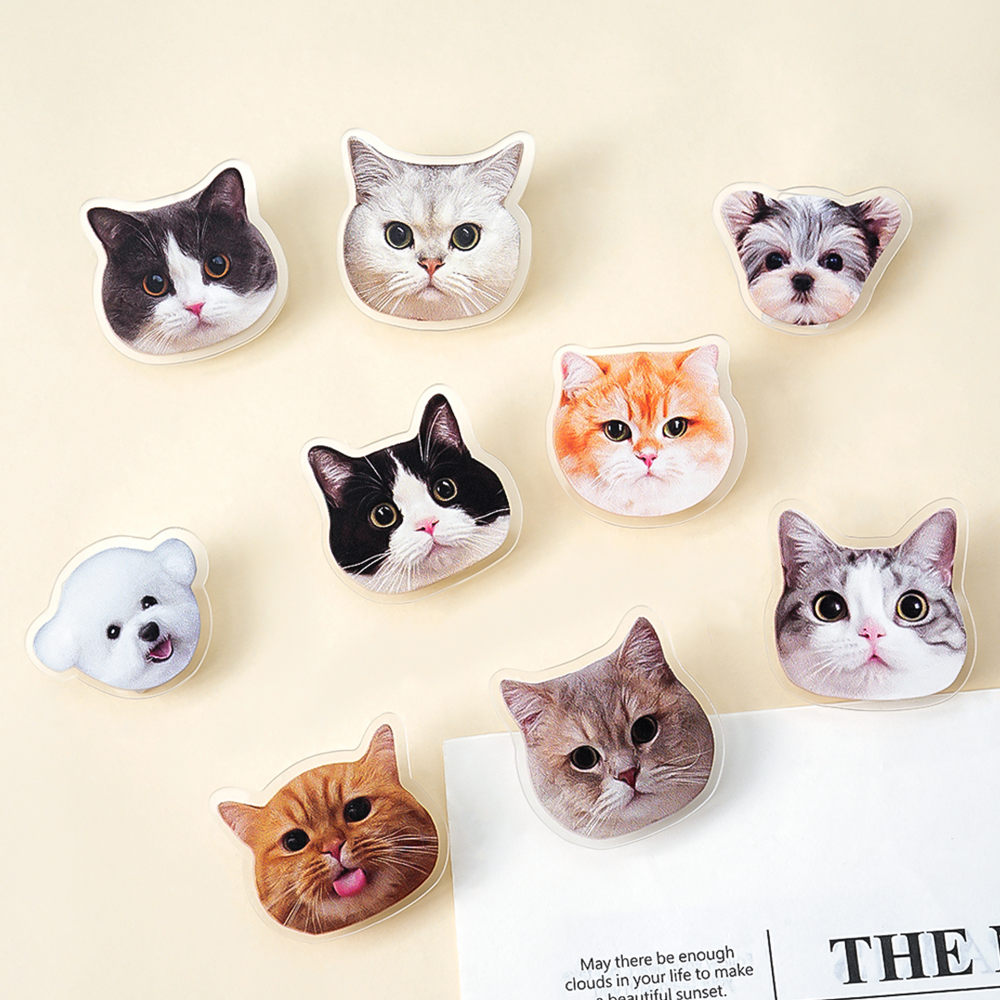 Clip magnétique personnalisé en acrylique avec photo du visage de l'animal de compagnie Cadeau d'anniversaire pour les propriétaires d'animaux de compagnie