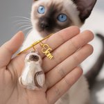 Henkilökohtainen kissan muotoinen lemmikkieläinten hiusten säilytyksen avaimenperä, jossa on nimi ja Gachapon Ball Fur turkis matkamuisto muistolahja kissan omistajille lemmikkieläinten menetys