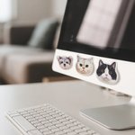 Personligt akrylfoto av husdjursansikte Magnetiskt clips Födelsedag Jul Jubileum Present till husdjursägare