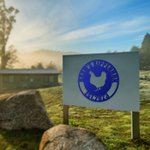 Gepersonaliseerde Wanddecoratie Kippenhok Boerderij Metalen Bord met Naam en Datum Cadeau Boerderijdecoratie voor Boeren