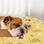 Gepersonaliseerde Multicolor Paw Prints Dog Cat Face Photo Zachte Beddenmat voor huisdieren met naam Outdoor activiteiten Verjaardagscadeau voor huisdiereigenaren liefhebbers