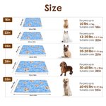 Gepersonaliseerde Multicolor Paw Prints Dog Cat Face Photo Zachte Beddenmat voor huisdieren met naam Outdoor activiteiten Verjaardagscadeau voor huisdiereigenaren liefhebbers