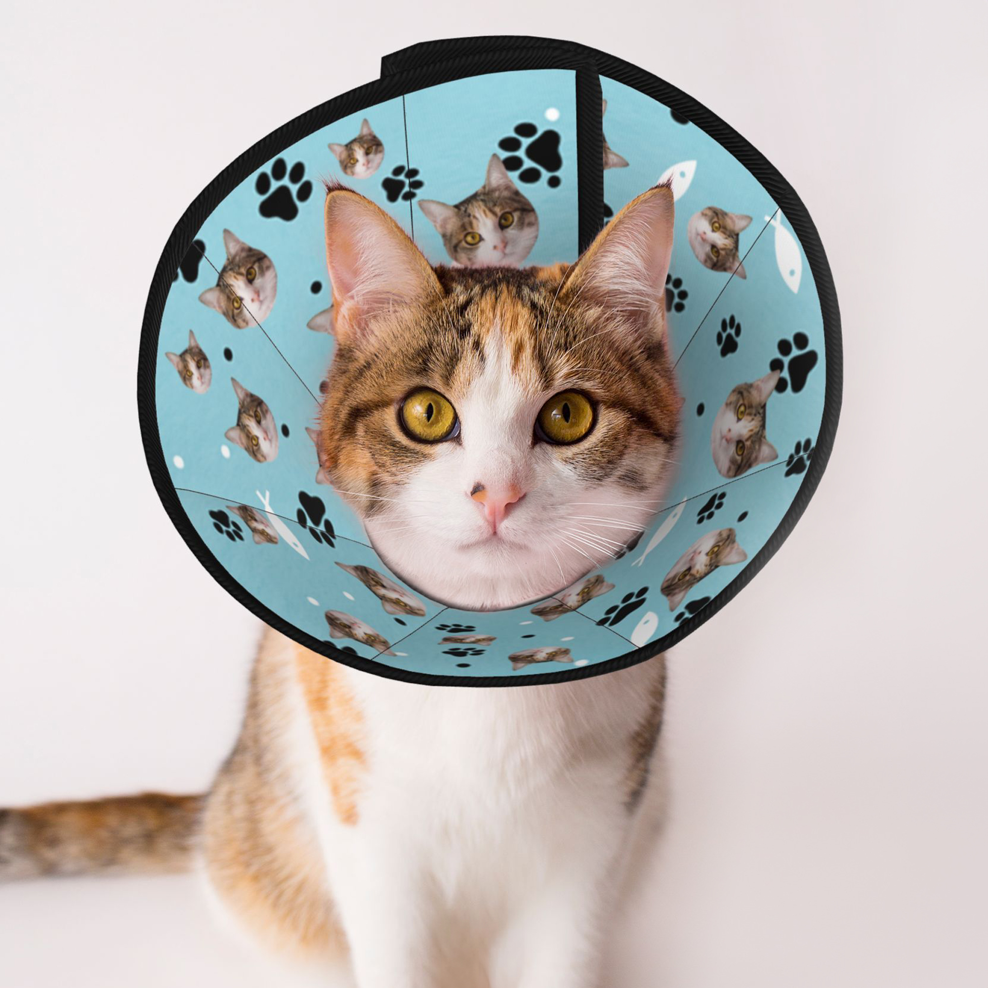 Collier de protection réglable pour animaux de compagnie Cadeau d'anniversaire pour les propriétaires d'animaux de compagnie