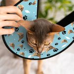 Personligt djurfoto fiskben tassavtryck Justerbart Elizabeth skyddande halsband djursjukhusvård födelsedagspresent för djurägare älskare