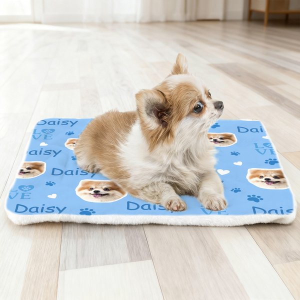 Personalized Multicolor Paw Prints Dog Cat Face Photo Soft Pet Bed Mat with Name Outdoor Activities Birthday Gift for Pet Owners Lovers