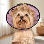 Personligt djurfoto fiskben tassavtryck Justerbart Elizabeth skyddande halsband djursjukhusvård födelsedagspresent för djurägare älskare