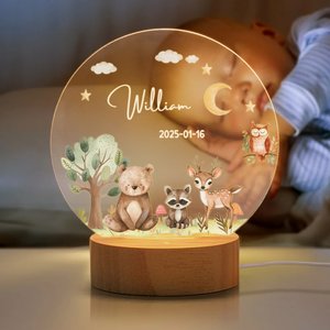 Personlig akryl LED nattlampa med söt skogsdjursdesign med namn och träbas för barnrum födelsedagspresent till pojke och flicka