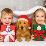 Monogramme de Noël personnalisé Lot de 2 étiquettes autocollantes imperméables avec nom, texte et année Décoration de Noël Favors pour la famille et les enfants