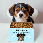 Personalized Cute 3D Cartoon Dog Bone Food-Grade Dog Treat Metal Tin Box with Name Pet’s Day Birthday Gift for Pet Owner Lovers