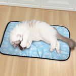 Personalized Paw Print Pet Blanket with Name Outdoor Activity Indoor Rest Birthday Gift for Pet Owners Lovers