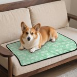 Personalized Paw Print Pet Blanket with Name Outdoor Activity Indoor Rest Birthday Gift for Pet Owners Lovers
