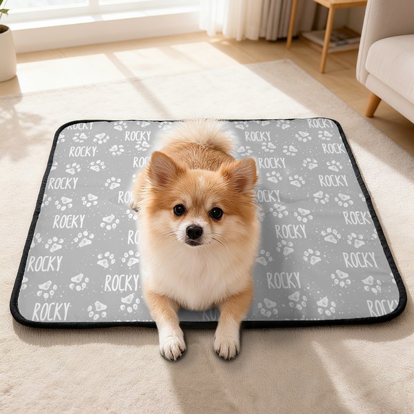 Coperta personalizzata per animali domestici con nome, attività all'aperto, riposo al chiuso, regalo di compleanno per i proprietari di animali domestici.