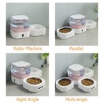 Personalised Bone Heart Paw Print Food and Water Dispenser with Name Pet Supplies Indoor Daily Use  Gift for Pet Owners