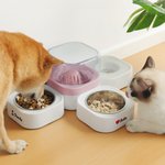 Personalised Bone Heart Paw Print Food and Water Dispenser with Name Pet Supplies Indoor Daily Use  Gift for Pet Owners