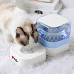 Personalised Bone Heart Paw Print Food and Water Dispenser with Name Pet Supplies Indoor Daily Use  Gift for Pet Owners
