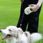 Personalized Multicolor Retractable Reflective Effect Pet Leash with Photo and Name Daily Use Birthday Gift for Pet Lover Owner