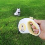 Personalized Multicolor Retractable Reflective Effect Pet Leash with Photo and Name Daily Use Birthday Gift for Pet Lover Owner
