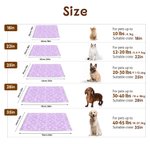 Personalised Multicolour Cute Paw Print Pet Blanket with Name Birthday Gift for Cat Dog Lover