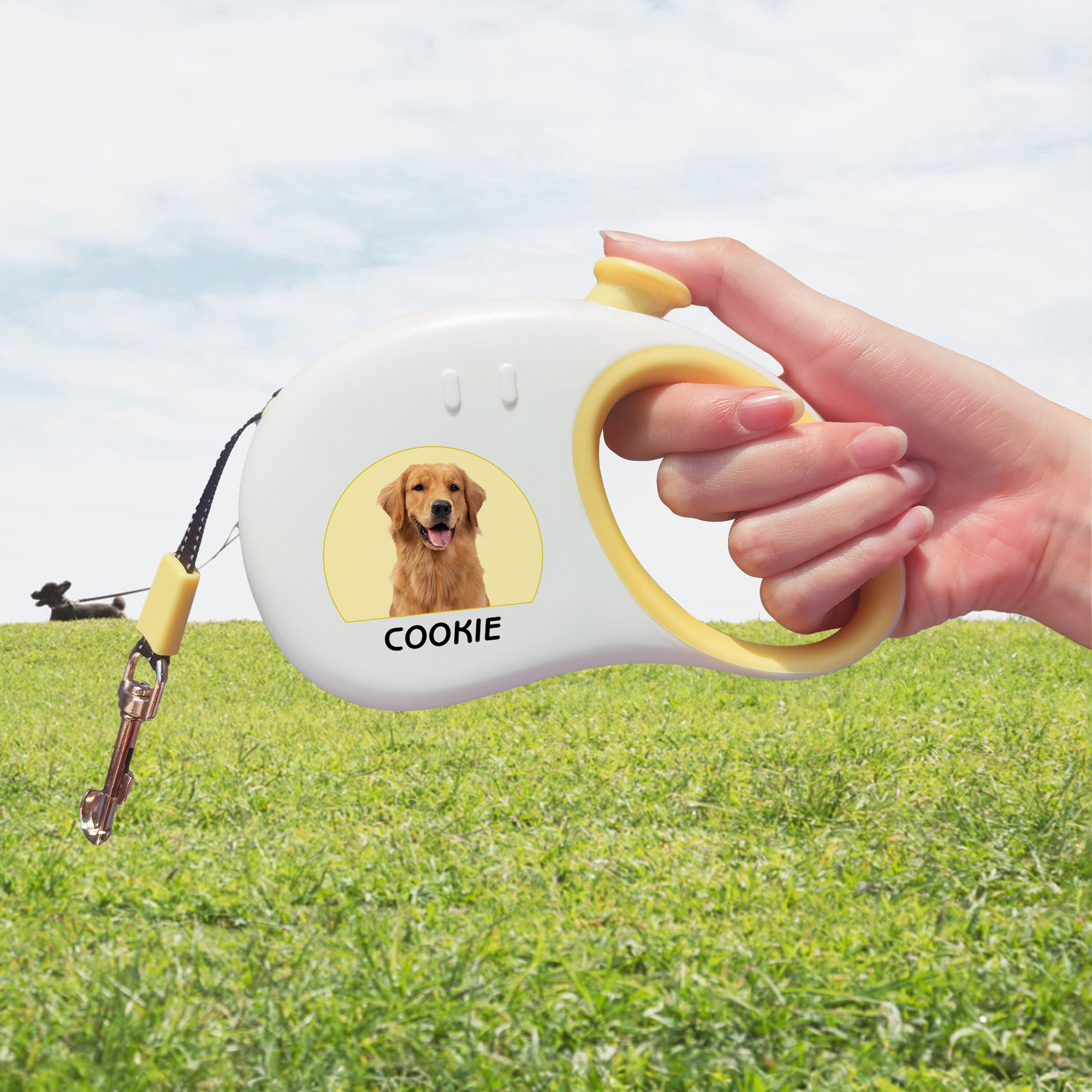 Laisse rétractable à effet réfléchissant multicolore personnalisée avec photo et nom Cadeau d'anniversaire pour le propriétaire d'un animal de compagnie