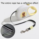 Personalized Multicolor Retractable Reflective Effect Pet Leash with Photo and Name Daily Use Birthday Gift for Pet Lover Owner