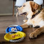 Personlig hundflygskiva leksak med tecknad hundmotiv flerfärgad vattentålig med namn perfekt födelsedagspresent till hundälskare eller vänner