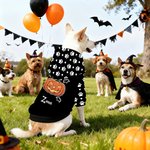 Personifierad mångfärgad klo fladdermus pumpa ansikte hund huvtröja med namn Halloween festgåva för husdjursälskare ägare