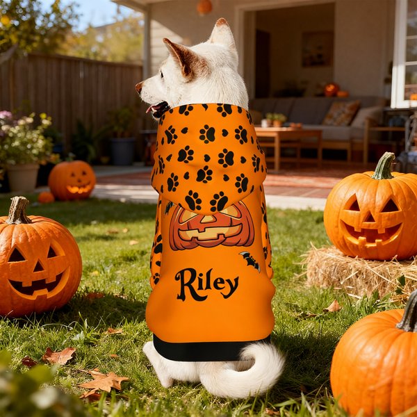 Personalized Multicolour Claw Bat Pumpkin Face Dog Hoodie with Name Halloween Party Gift for Pet Lovers Owners