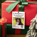 Henkilökohtainen The Pets Times Sanomalehti Photo Akryyli Ornamentti nimi ja teksti Tree Decor joulu syntymäpäivälahja lemmikkieläinten ystäville