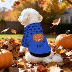 Personifierad mångfärgad klo fladdermus pumpa ansikte hund huvtröja med namn Halloween festgåva för husdjursälskare ägare