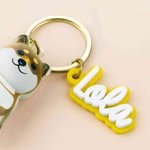 Henkilökohtainen koiran muotoinen lemmikkieläinten hiusten varastointi avaimenperä nimellä turkis matkamuisto muistolahja koiranomistajille lemmikkieläinten menetys