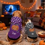 Personifierad mångfärgad klo fladdermus pumpa ansikte hund huvtröja med namn Halloween festgåva för husdjursälskare ägare