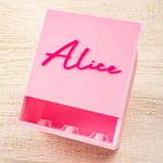 Personalized 3D-Printed Convenient Hygienic Reptile Leaf Feeder Box with Name Reptile Habitat for Lizard Reptile Owners