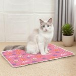 Henkilökohtainen tassunjäljet pehmeä lemmikkieläinten sängyn matto nimellä Ulkoilutoiminta Pet Party syntymäpäivälahja lemmikkieläinten omistajille ystäville